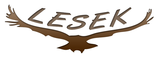 Látássérültek Segédeszköz Konferenciája (LESEK.)